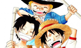 海贼王路飞漫画,勇闯大海，梦想成真之旅