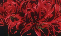 漫画彼岸花,生死轮回的美丽传说